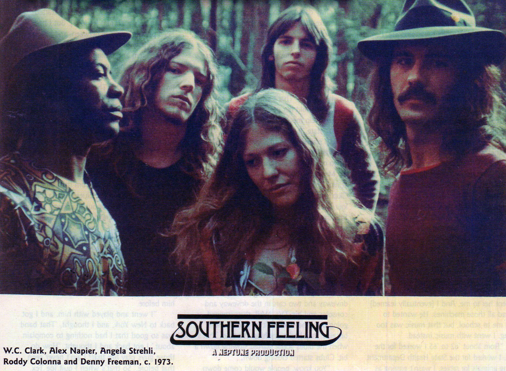 Southern Feeling 1973